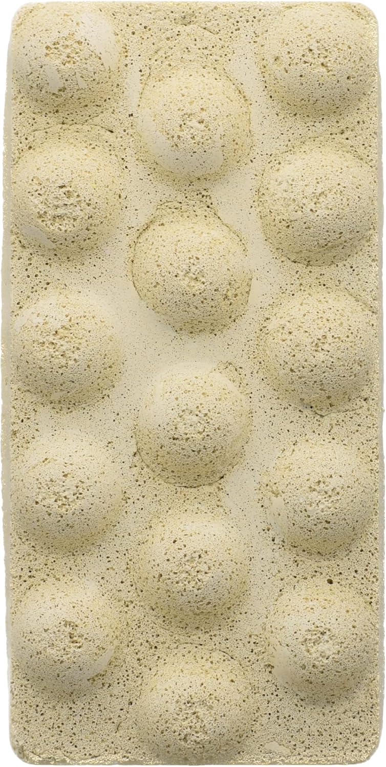 Brightwell Aquatics XPort NO3 Brick – High-Porosity Denitrification Media with Sulfur for Nitrate Removal pH Stability & Water Quality in Marine Aquariums