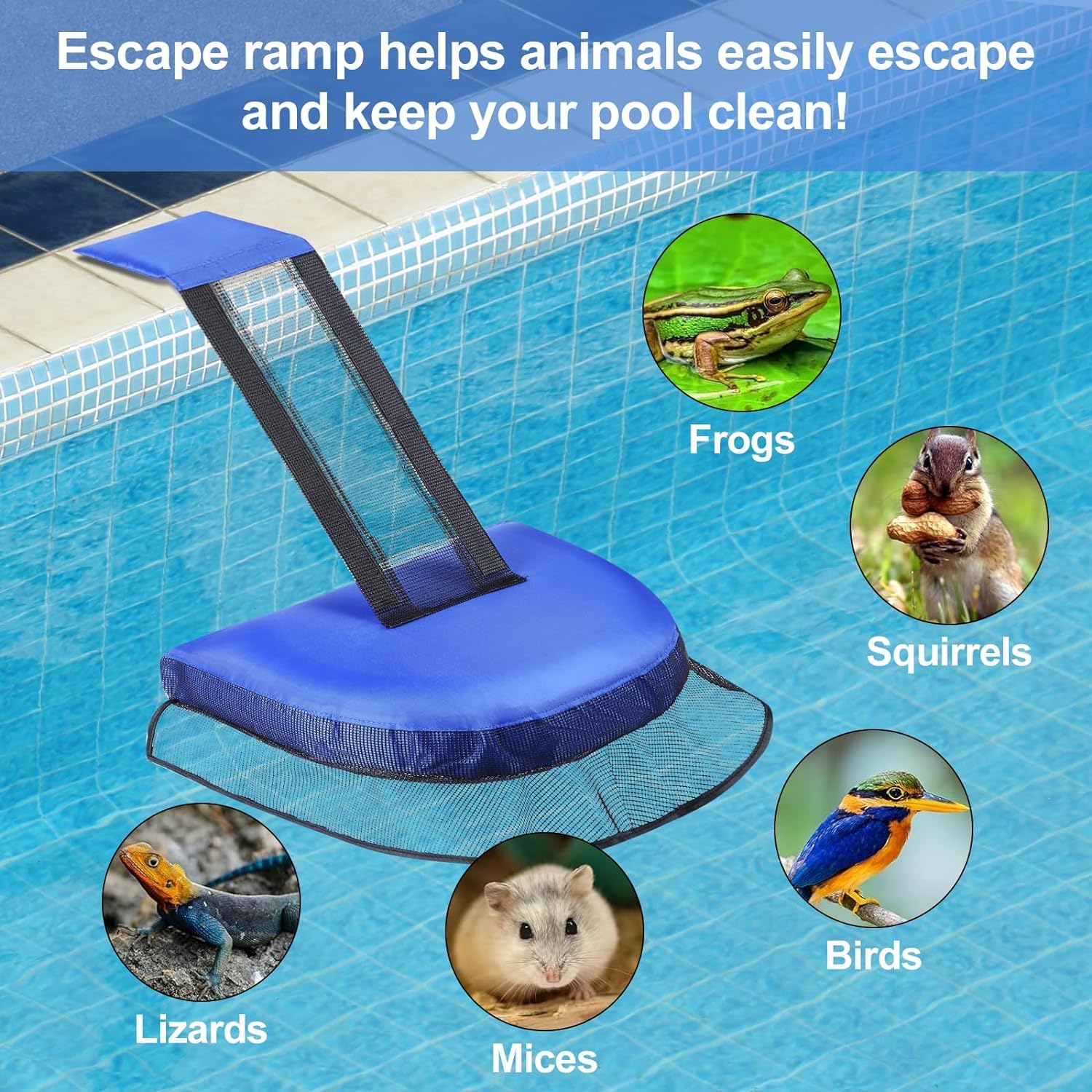 Frog Ladder For Outdoor Pond Oxford Fabric Pool Escape Net Animal ...