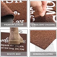 Vista 4 de JJUUYOU Tapetes de bienvenida para puerta delantera/interiores, felpudos exteriores de bajo perfil, parte trasera de goma antideslizante para piso