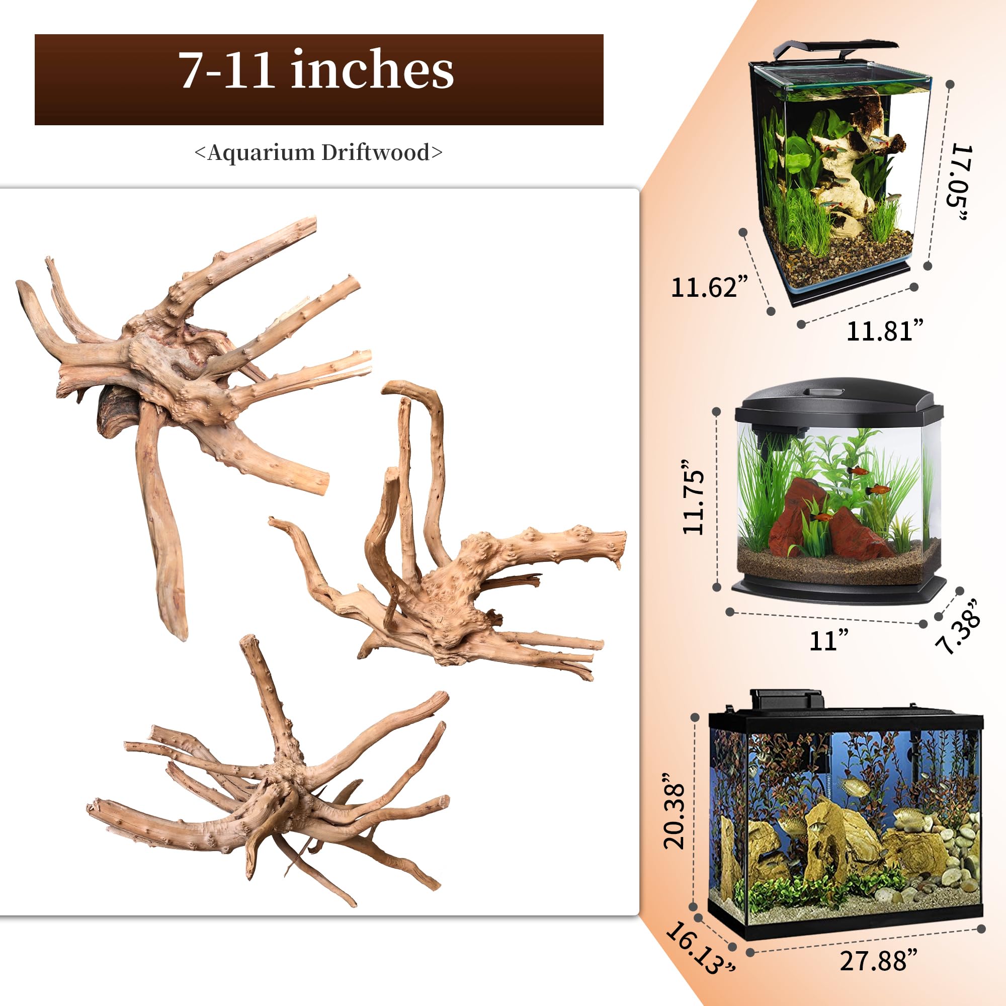 majoywoo Naturalne drewno dryfujące do dekoracji akwarium, różne gałęzie z drewna pająka, 18-28 cm, 3 szt., dekoracja gadów