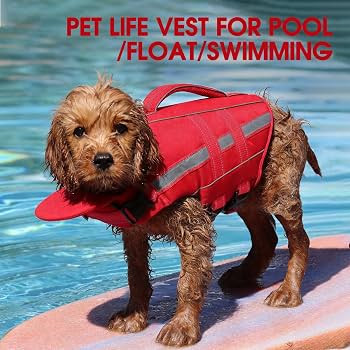 Amazon | 犬用ライフジャケット 犬用ライフベスト 水泳 ボート用