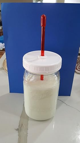 Fermentador de kéfir: jarra de un cuarto de galón (0.9 L) - Fabricación de kéfir