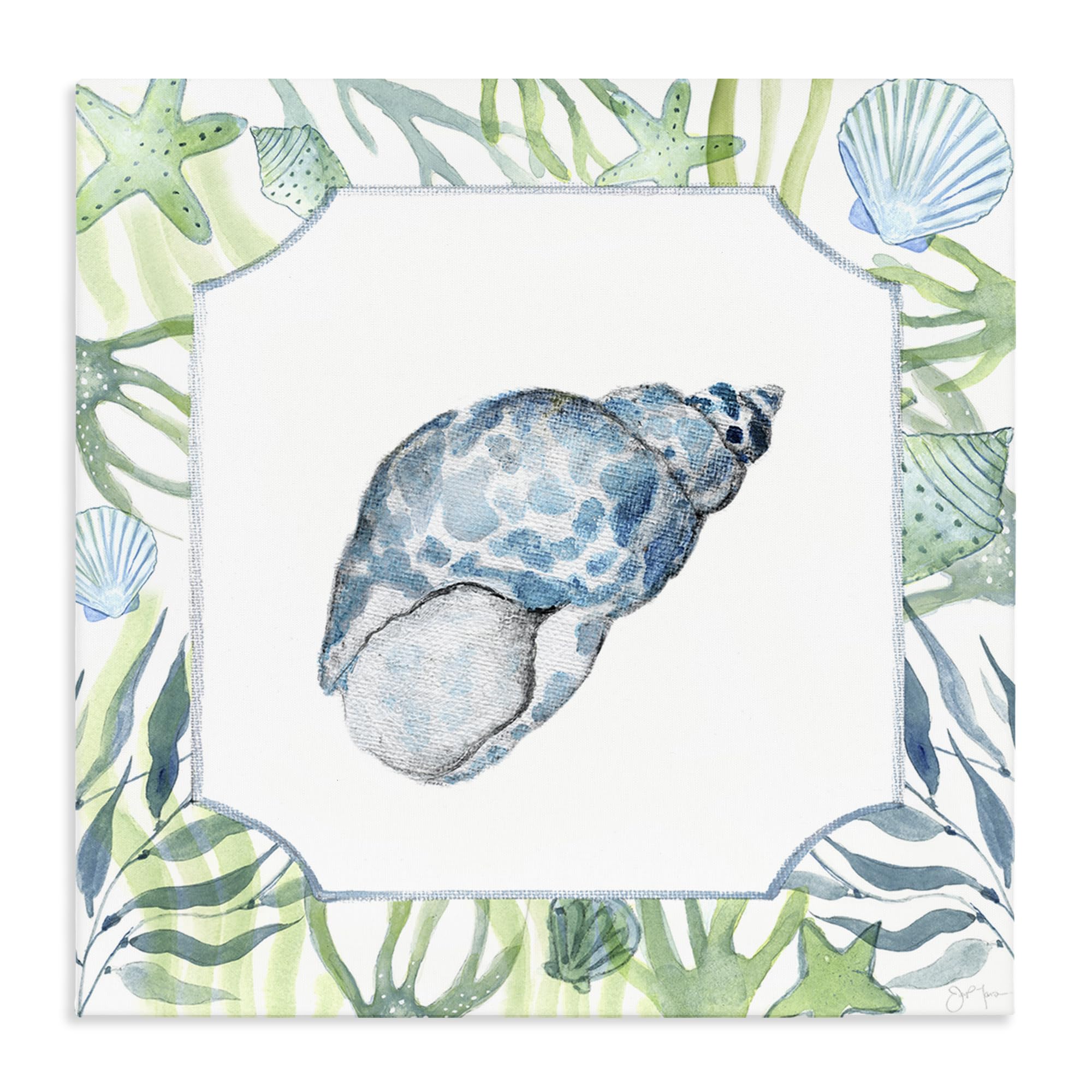 Stupell Industries Unframed 'Spotted Cowrie With Seaweed'| Canvas Art