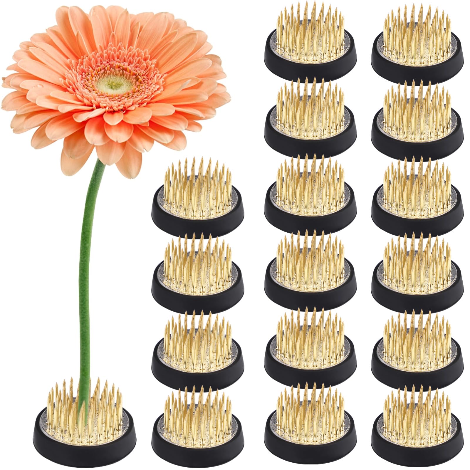 Generisch 16 szt. Kenzan Flower Pins, uchwyt na kwiaty do wazonów, mosiężny uchwyt na igły do aranżacji kwiatowych, okrągła pomoc do mocowania kwiatów, do ikebany i nowoczesnej dekoracji, pasują do