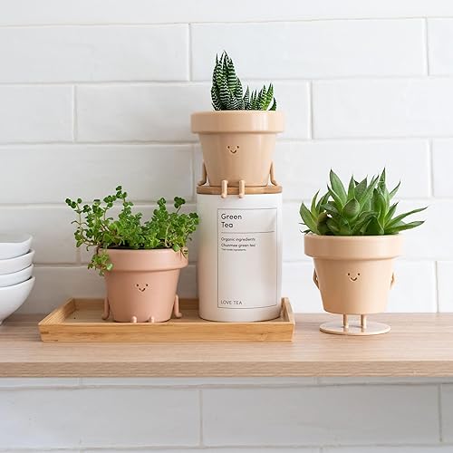 Miniatura 6 de Juego de 3 bonitas macetas de interior para suculentas, de plástico, únicas para los amantes de las plantas (plantas no incluidas)