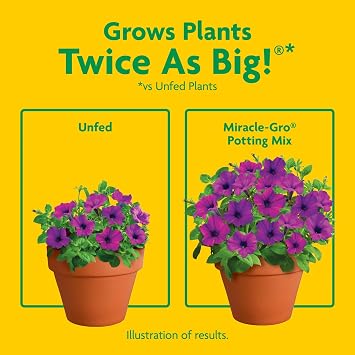 Miracle-Gro Potting Mix, 16 qt. (2-Pack) | For Container Plants, Flowers, Vegetables, Shrubs, Annuals, Perennials, Potting Soil Mix, Feeds up to 6 Months