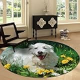 Machine Washable Round Area Rug 7' x 7', Animals White Dog Green Grass Soft Indoor Carpets - Oil Painting Low-Pile Non-Slip Rug 7 ft for Living Room Bedroom Dining Room Decor Round Carpet