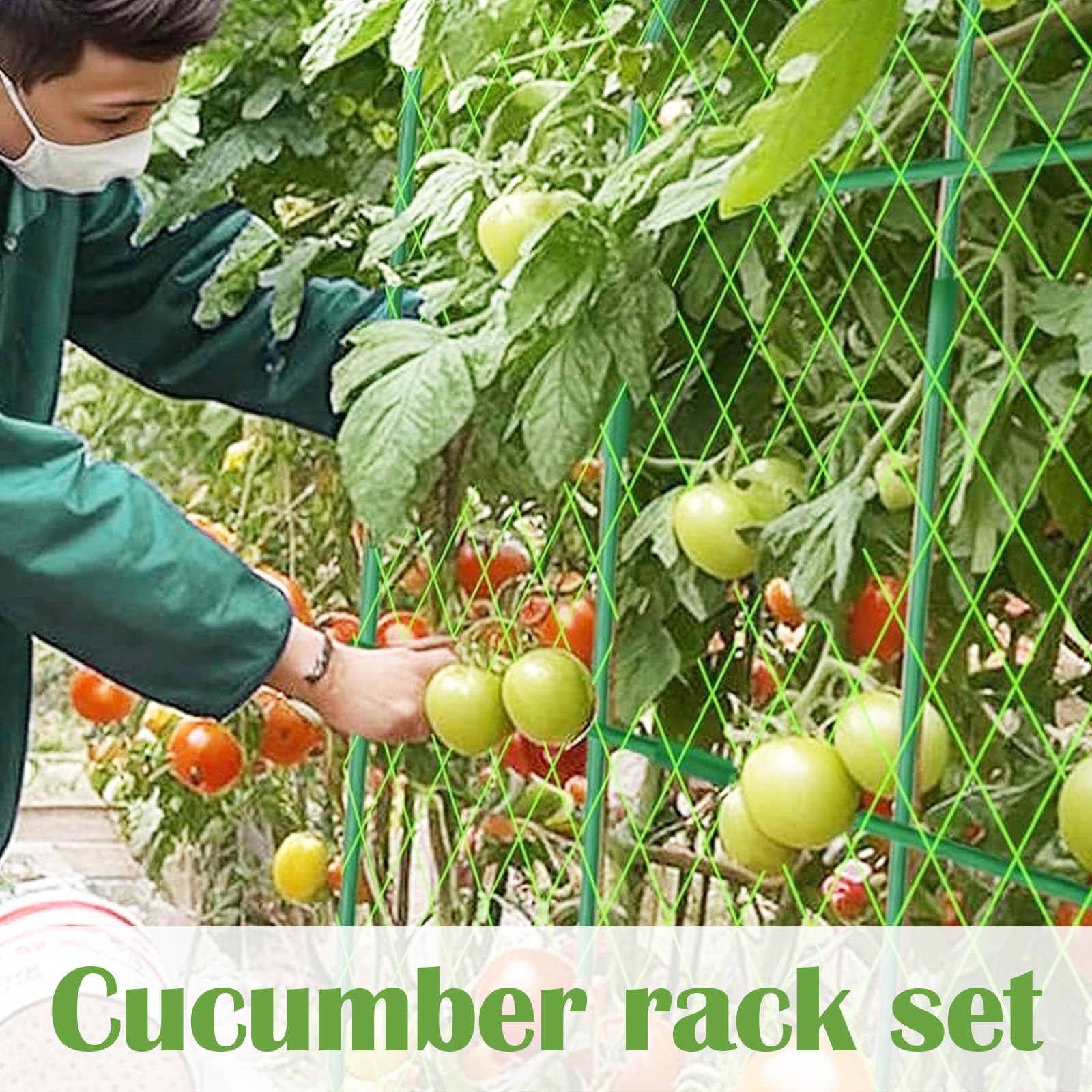 Set Di Traliccio Per Cetrioli, Traliccio Per Cetrioli Da Giardino Per Piante Rampicanti, 160cm (L) X 120cm (A), Arco In Metallo, Tralicci Per Meloni Con Rete Traliccio Di Supporto Per Esterni