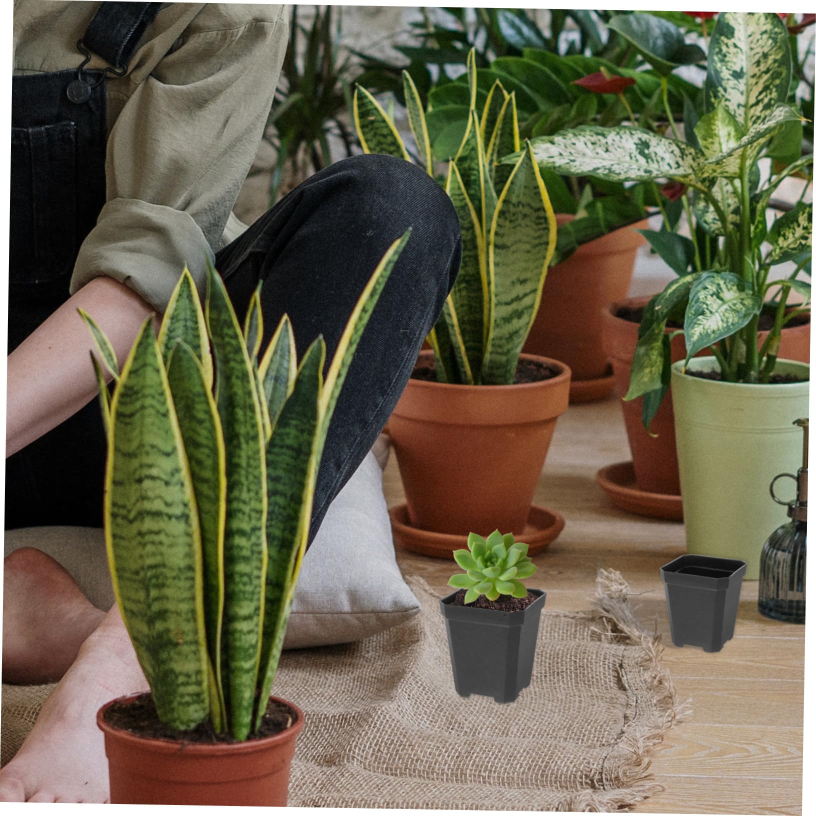 BESPORTBLE 4 Ensembles Pot De Semis Carré Pouvez Plantes Usine Terre Cuite Jardinage Pépinière Pot Clair Pots Succulents Pot De Jardin Pot De Fleur Pots De Fleurs PP Black 20 Pièces * 4