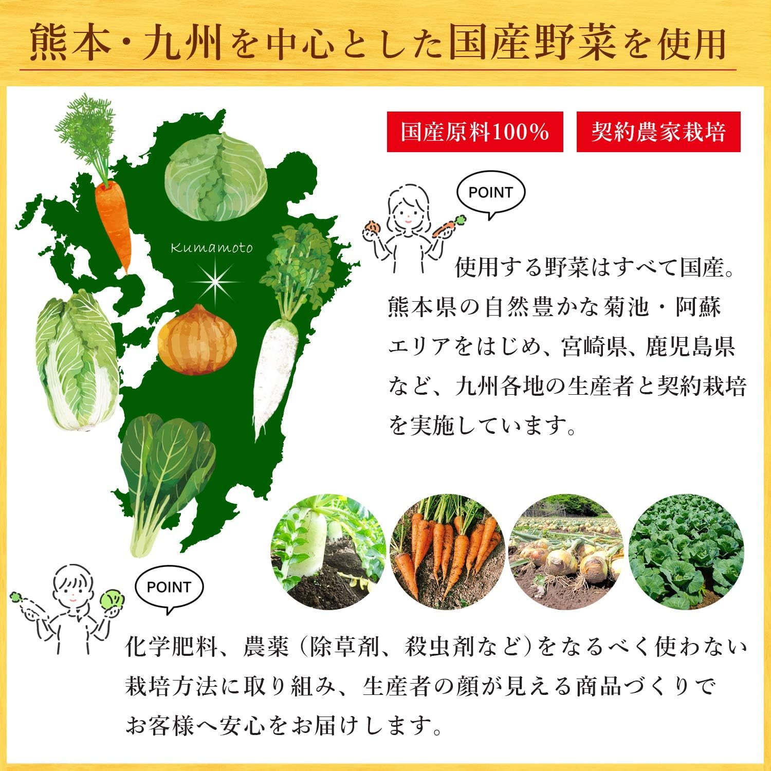 乾燥野菜 ほうれん草 40g