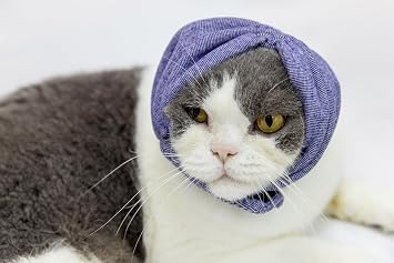 Cat Hematoma Ear Wrap,Noise Cancelling Calming Anxiety & Stress Relief - Ear Cover for cat Purple S