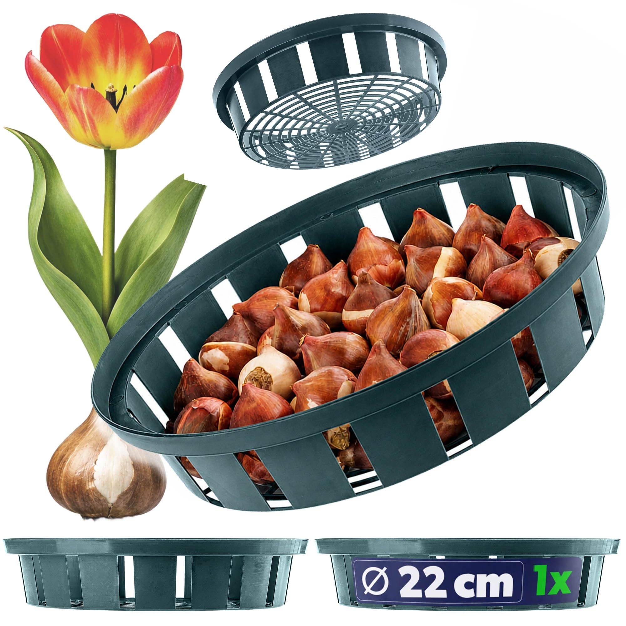 KADAX Plant Basket for Flower Bulbs, Plastic Growing Basket, Propagation Tray for Vegetable Plants, Flower Bulb Basket in 2 Shapes for Spring Flowers (18 cm Round, 1 Piece), K8364, 1 Items