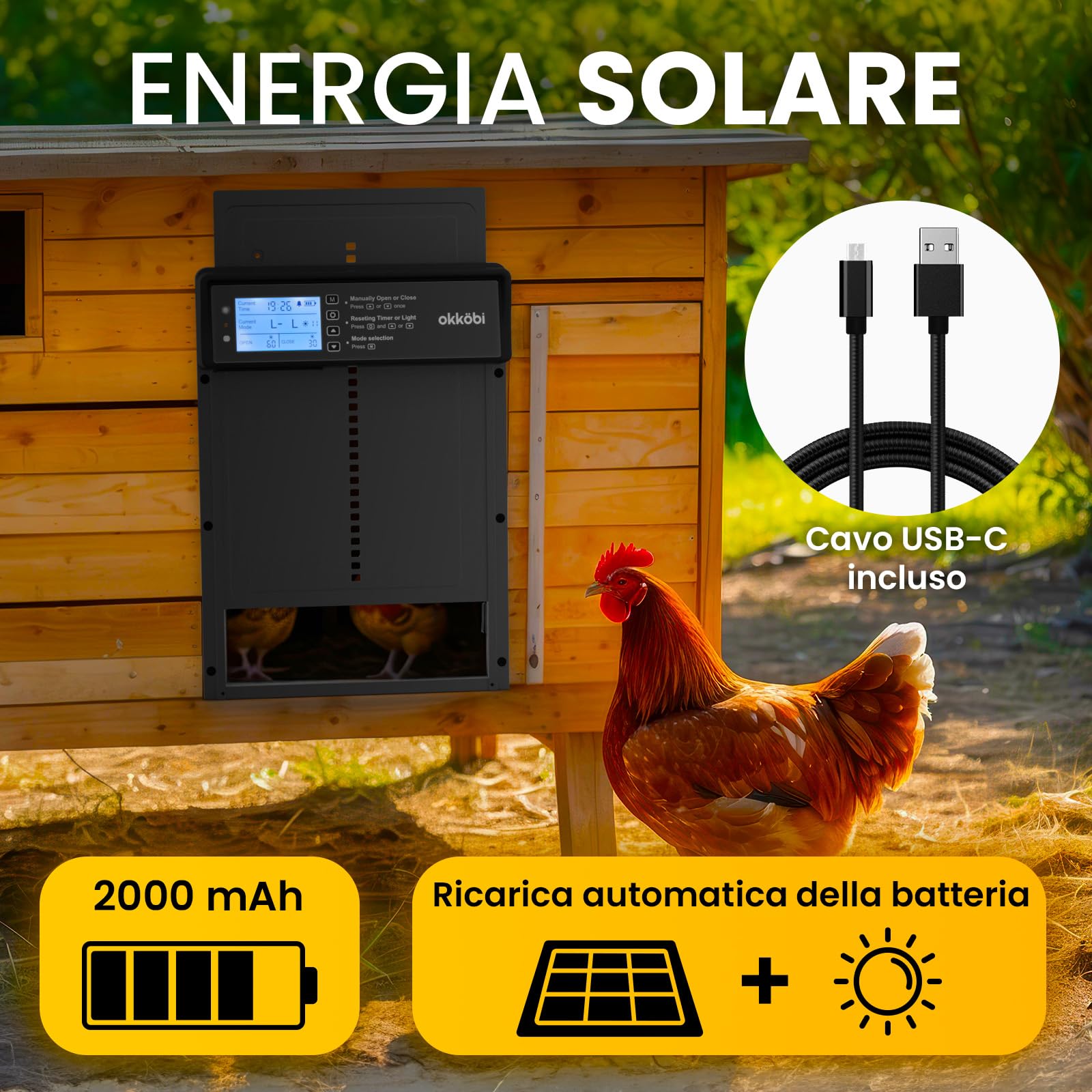 Okkobi Porta Automatica Pollaio Solare - Display LCD - Porta Pollaio con telecomando, Sensore di luce e Timer - Sicurezza e tranquillità: Funzione Antipizzicamento - Protezione di 5 anni