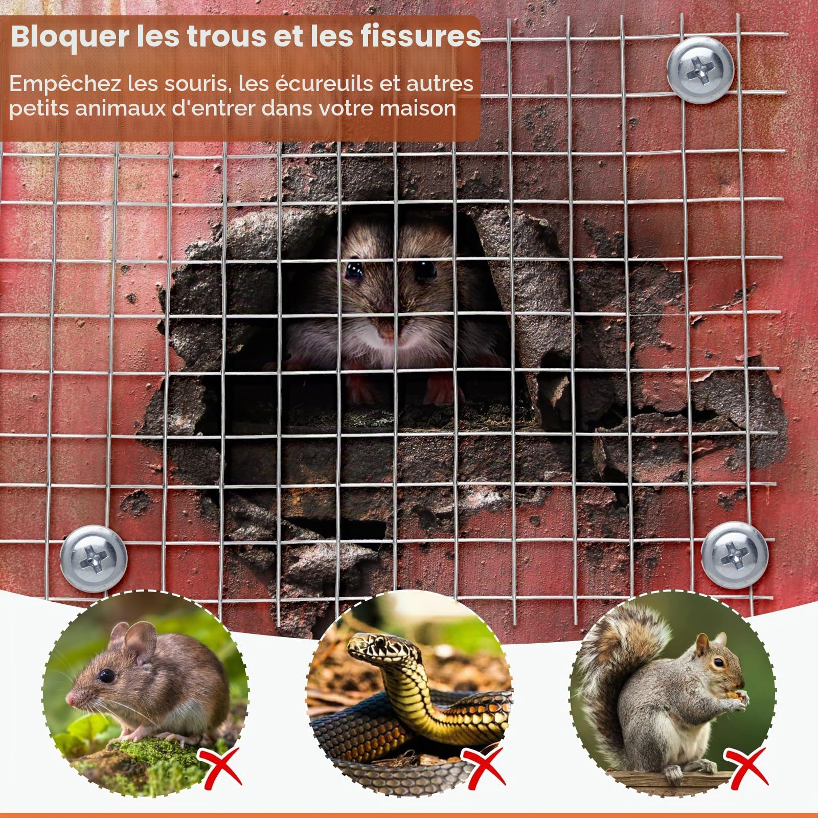 SelfTek Grillage Anti-Rongeurs - Rouleau de Grillage en Acier Inoxydable Soudé avec Gants et Pince, Treillis Métallique Antirouille de Prévention pour Souris, Maison, Jardin, 4 M X 300 MM