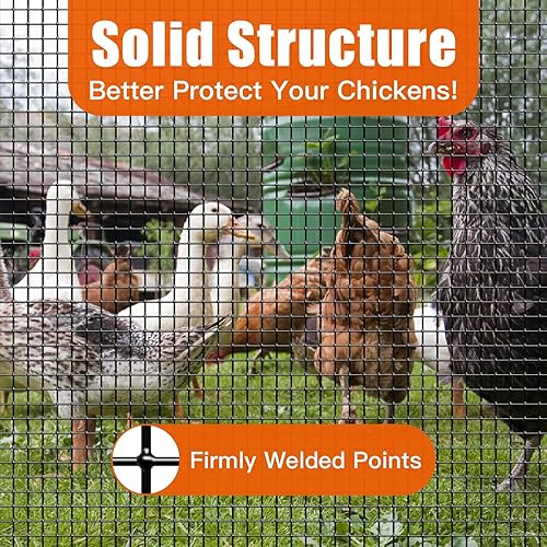 Miniatura 5 de Paño de hardware de 24 pulgadas x 50 pies 14 pulgadas, valla de alambre de pollo recubierto de vinilo negro, rollo de malla soldada galvanizada para