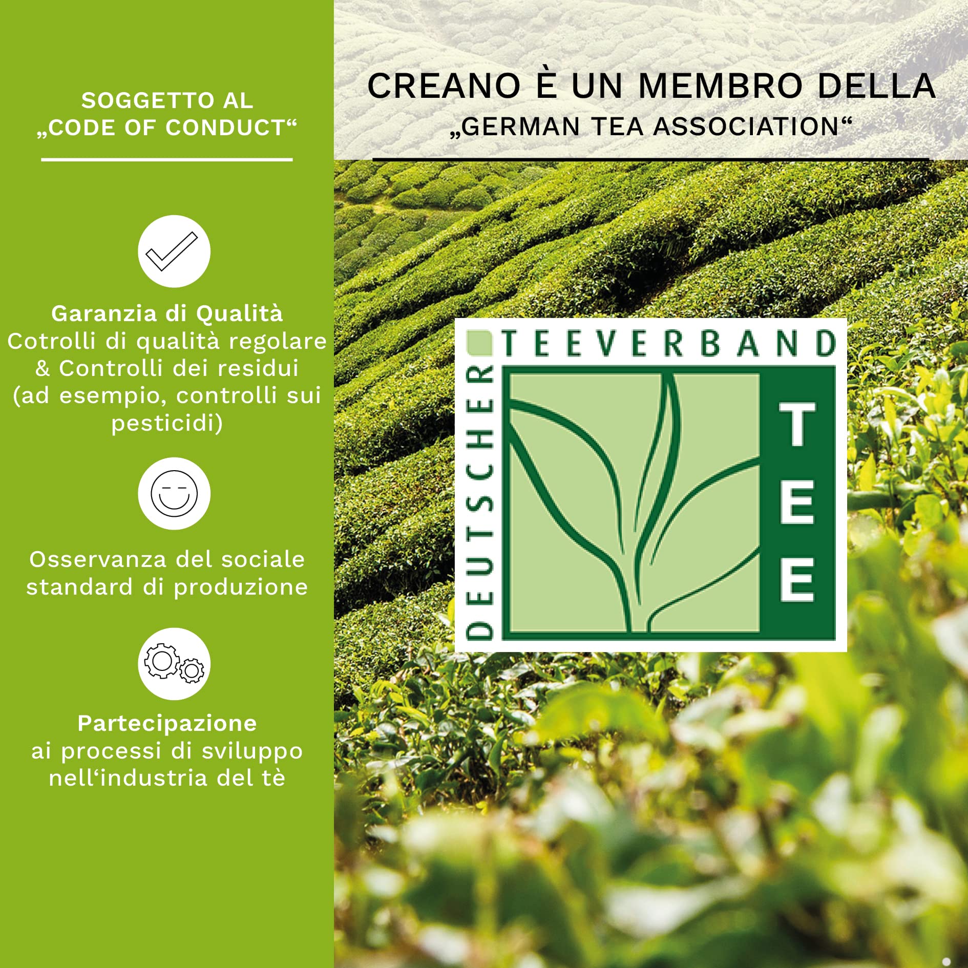Creano Set Regalo Fiori di Tè Verde in Scatola di Legno | 12 Té Fioriti con 6 Varietà Diverse | Tè ai Fiori Artigianali, Idea Regalo Elegante