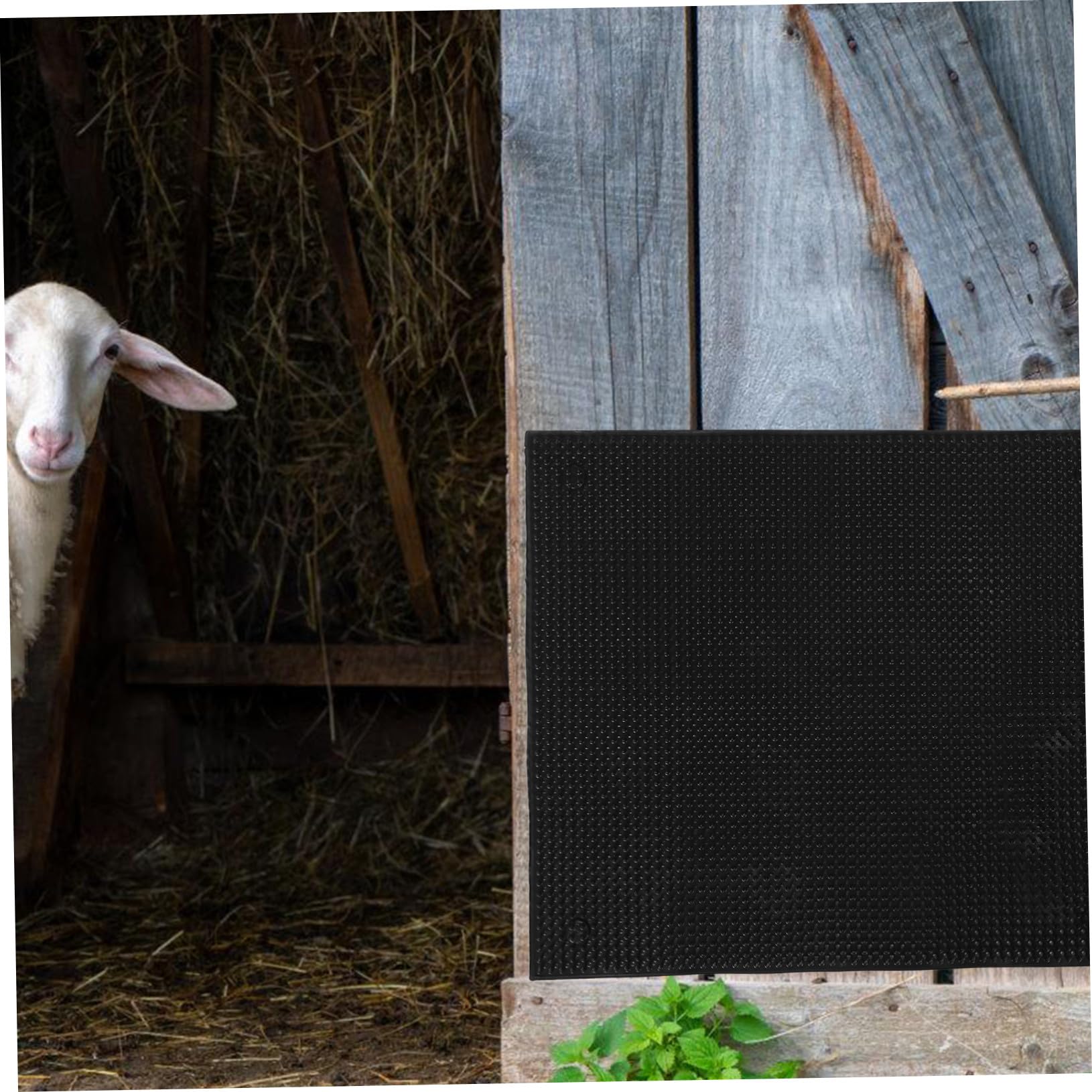 Kuhkörperbürste 1 Stück aus Silikon, Juckreizlinderung, Schwarz | Rinder und Weidetiere, Einfache Montage im Stall, Passend für Farm und Pferdebox