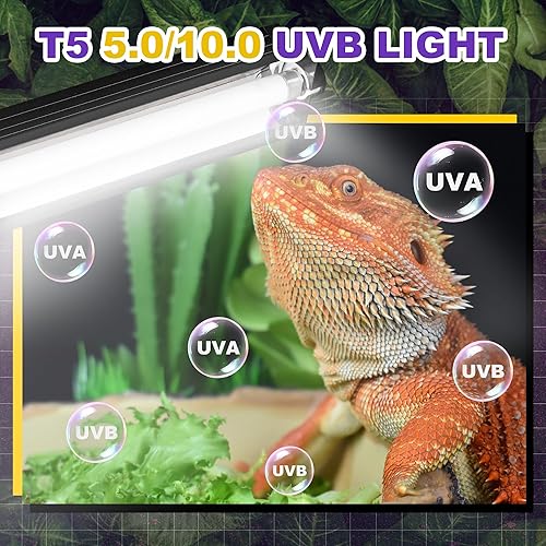 T5 HO UVB Lighting Combo Kit, 8W Reptile Light Fixture with Fluorescent Light Bulbs, Tropical 5.0 UVB Light for Reptiles and Amphibians, Basking Light for Bearded Dragon, High Output Natural Light(Rainforest 5.0,24 Watts)