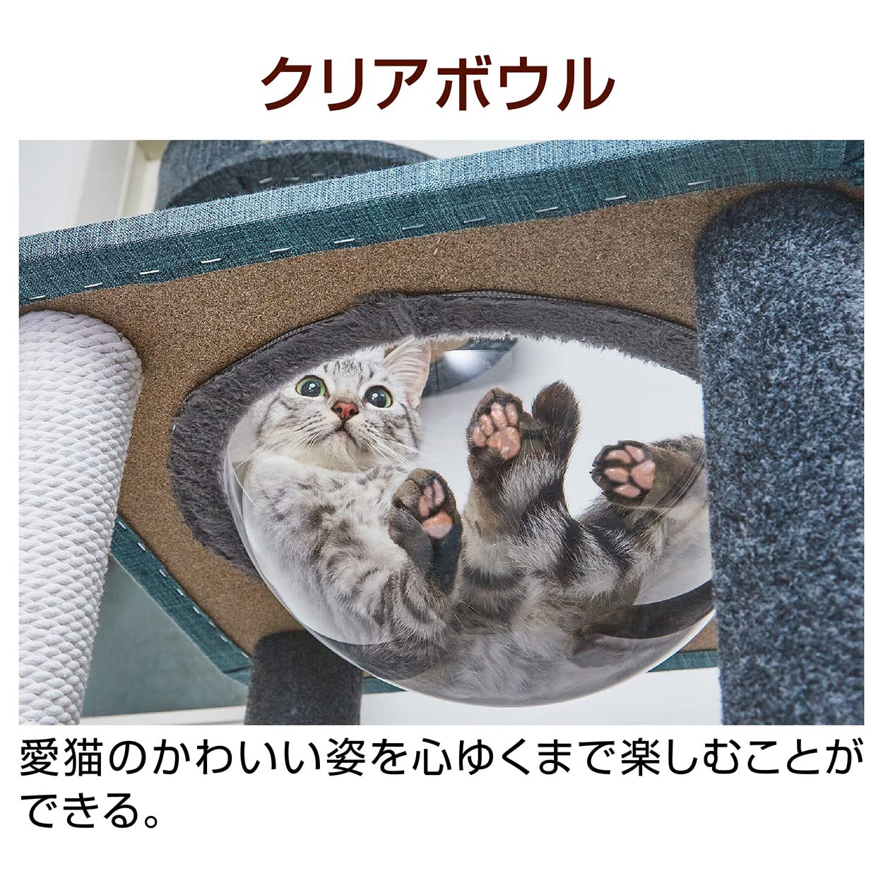 Amazon | ペティオ (Petio) 猫用タワー necoco キャットリビング