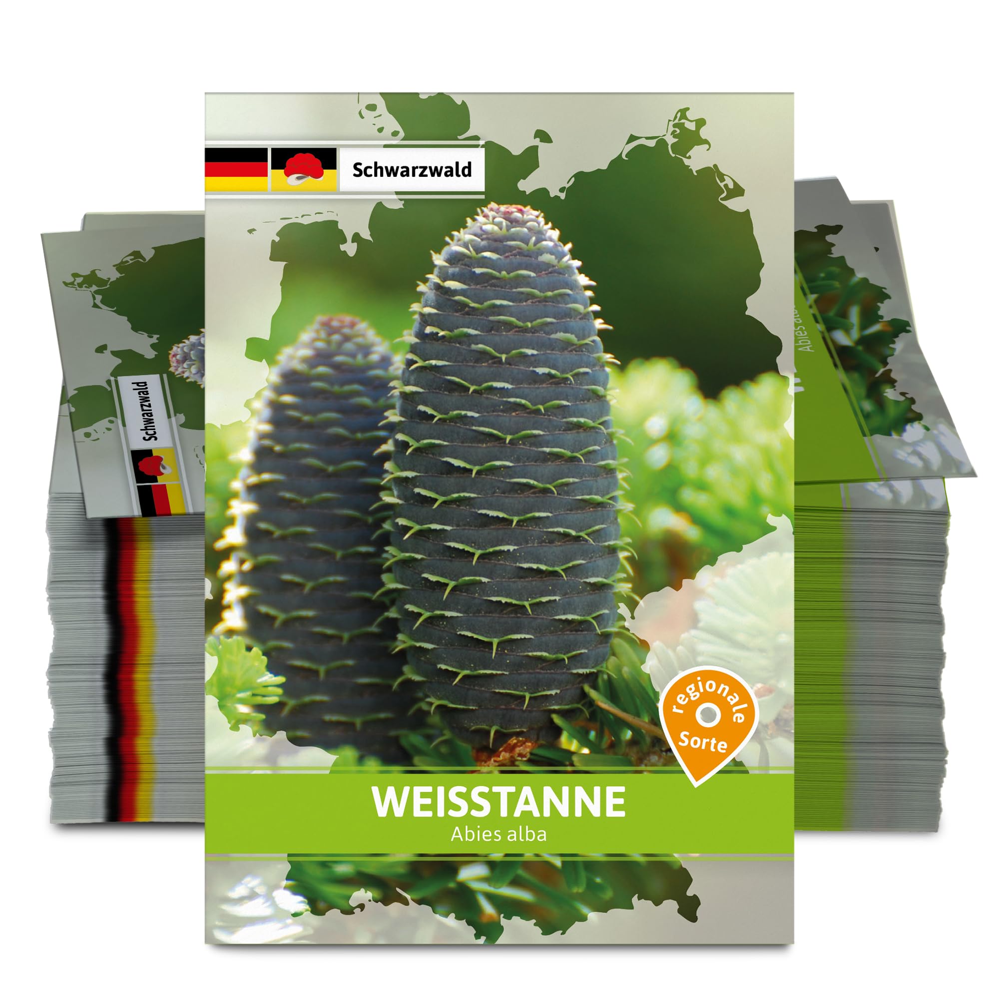 FLORTUS W5254-100x Weißtanne (Regionale Sorte Schwarzwald) (100 Tütchen) (Saatgut für Werbezwecke)