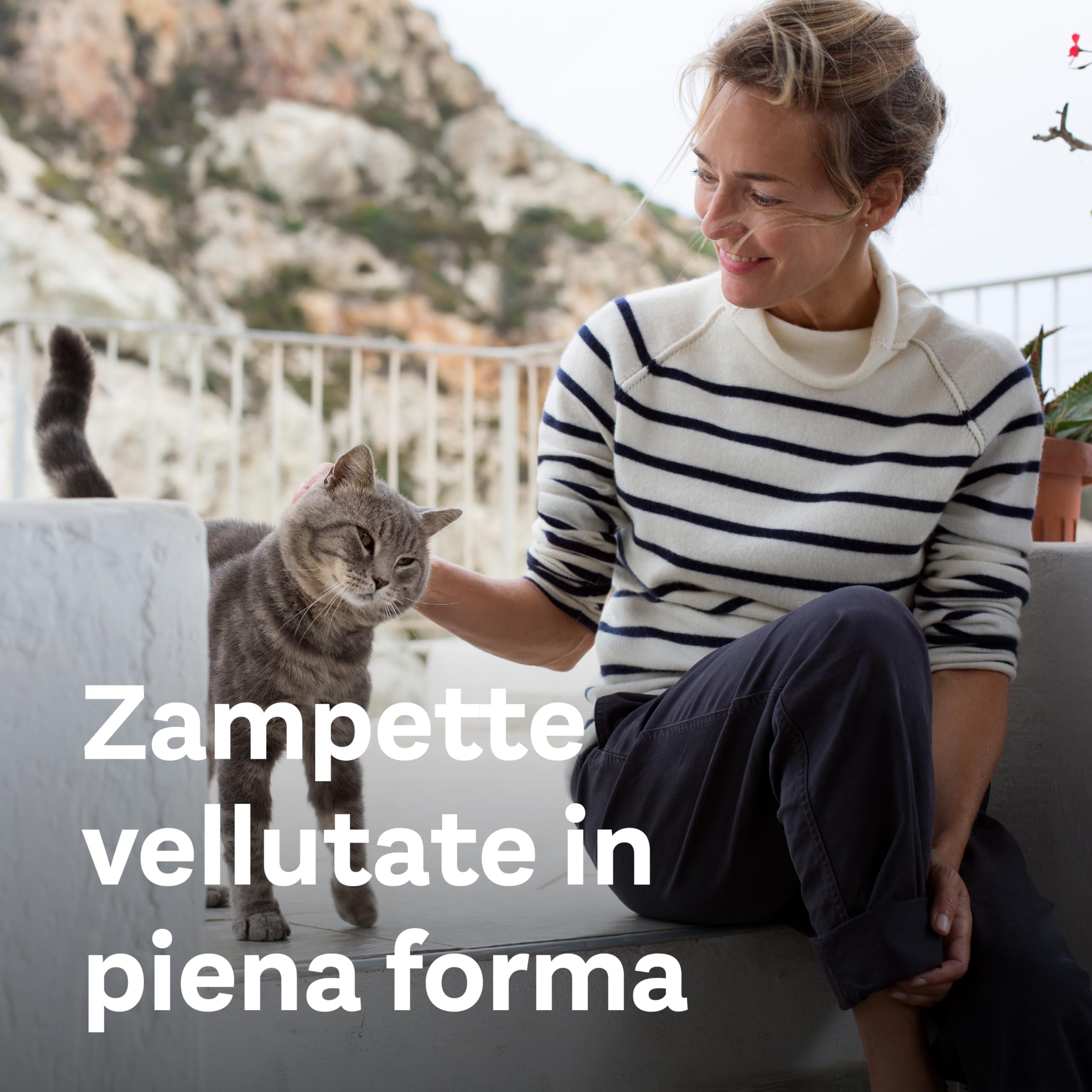Doppelherz Complesso Articolazioni per Gatti, Supporto al Metabolismo Articolare in Caso di Osteoartrite, acidi grassi Omega-3, vitamine E e A, 25 Creme da Leccare