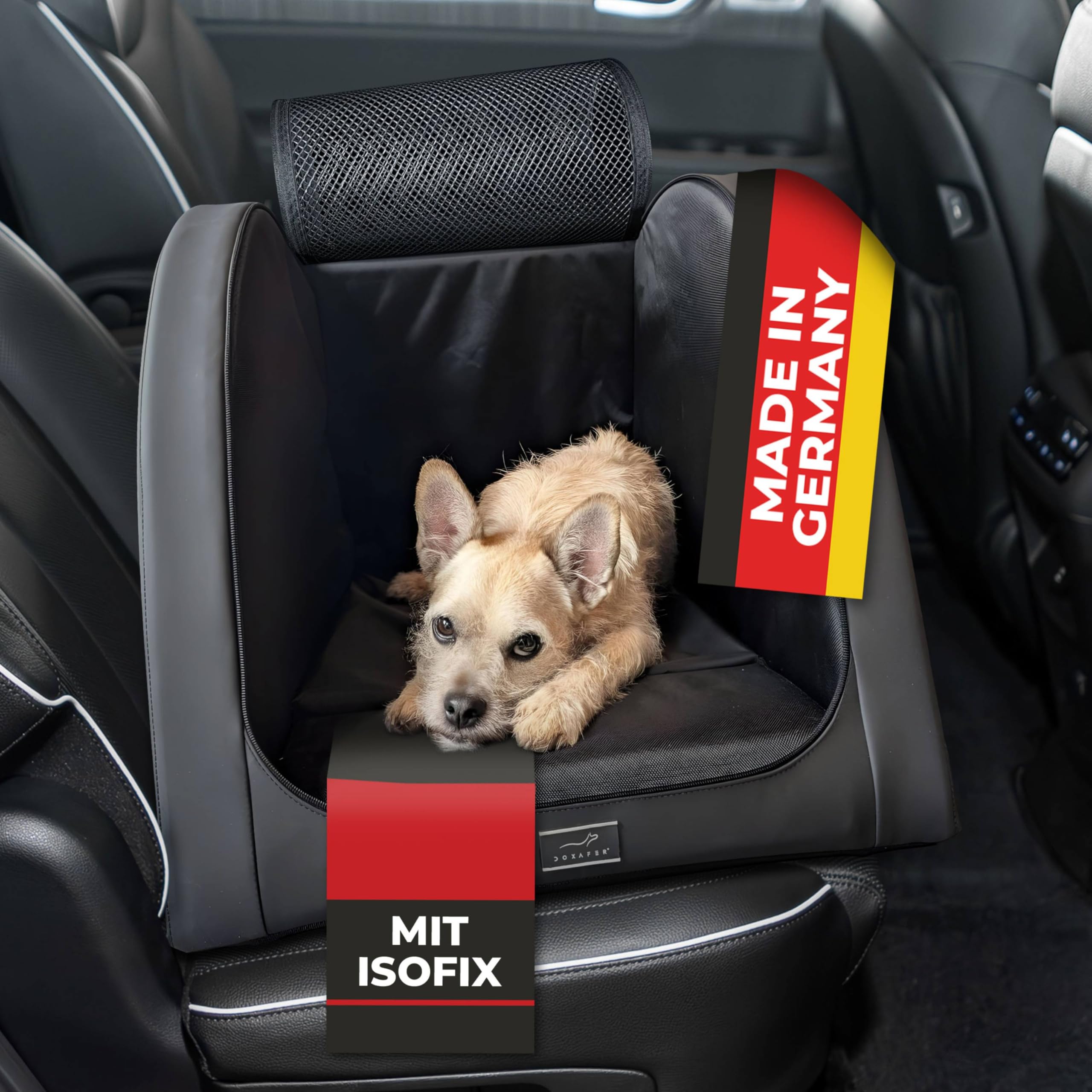 Isofix Cane Box per auto (nero, XXS)