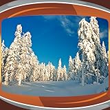 冬のライブ壁紙