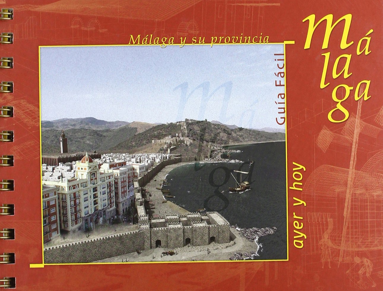 Guía de Málaga y su provincia, ayer y hoy 9788493171353 Books