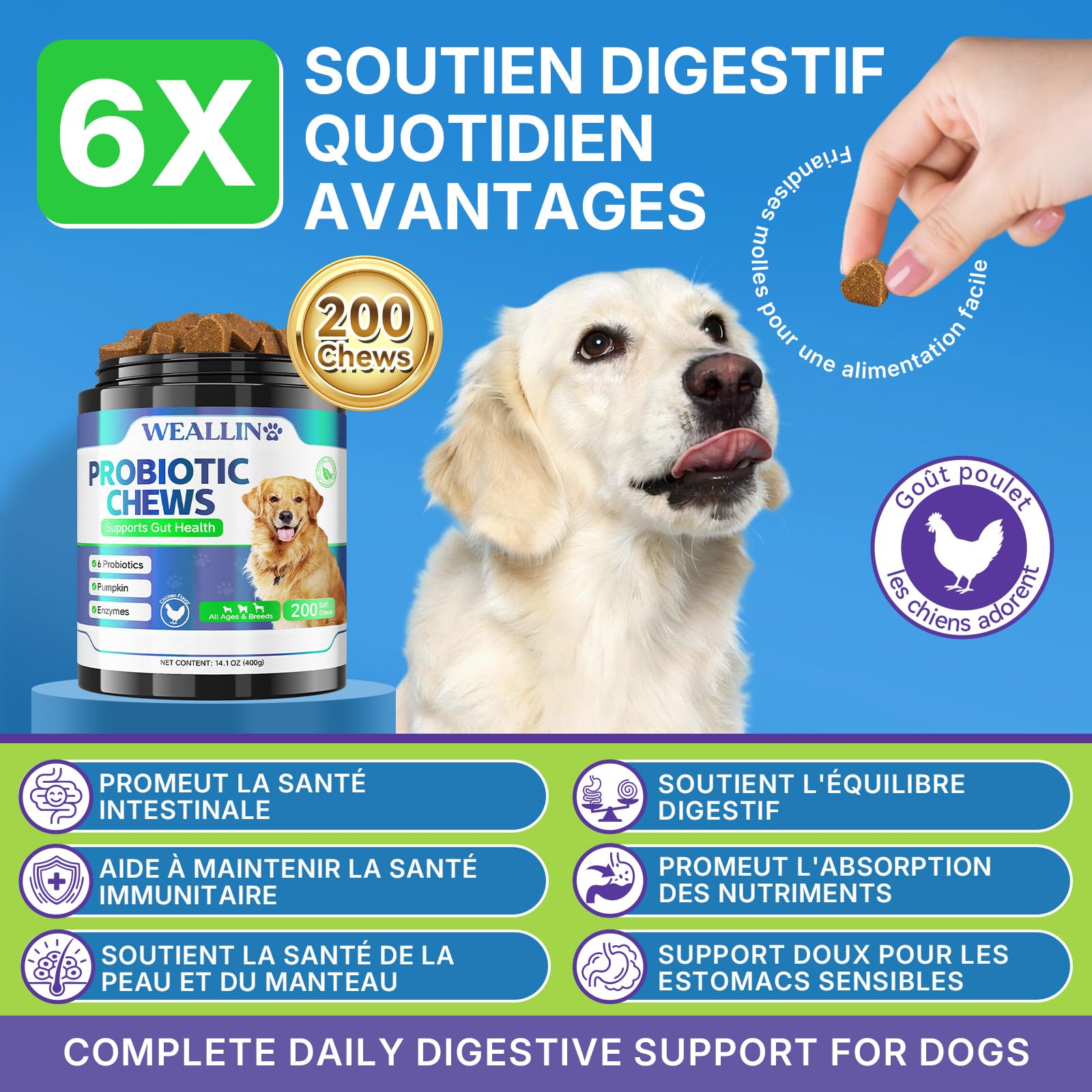 WEALLIN Probiotiques pour Chiens, Prébiotiques pour la Santé Intestinale – Soutient la Santé Digestive et l’Absorption des Nutriments – 200 Bouchées Moelleuses Qui Soutiennent la Santé de la Peau