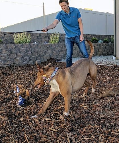 Miniatura 6 de AMYESE Juguetes interactivos para perros, poste extensible de coqueteo con 2 pinzas de cuerda trenzada para perros al aire libre, entrenamiento y