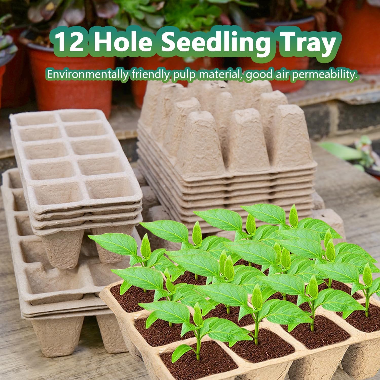 Vassoi per la Germinazione dei Semi, 10 Pezzi Semenzaio Germinazione, Vasetti Biodegradabili per Semina, Vasi da Coltivazione, Semenzaio da Torba con Etichette per Piante e Strumento di Semina