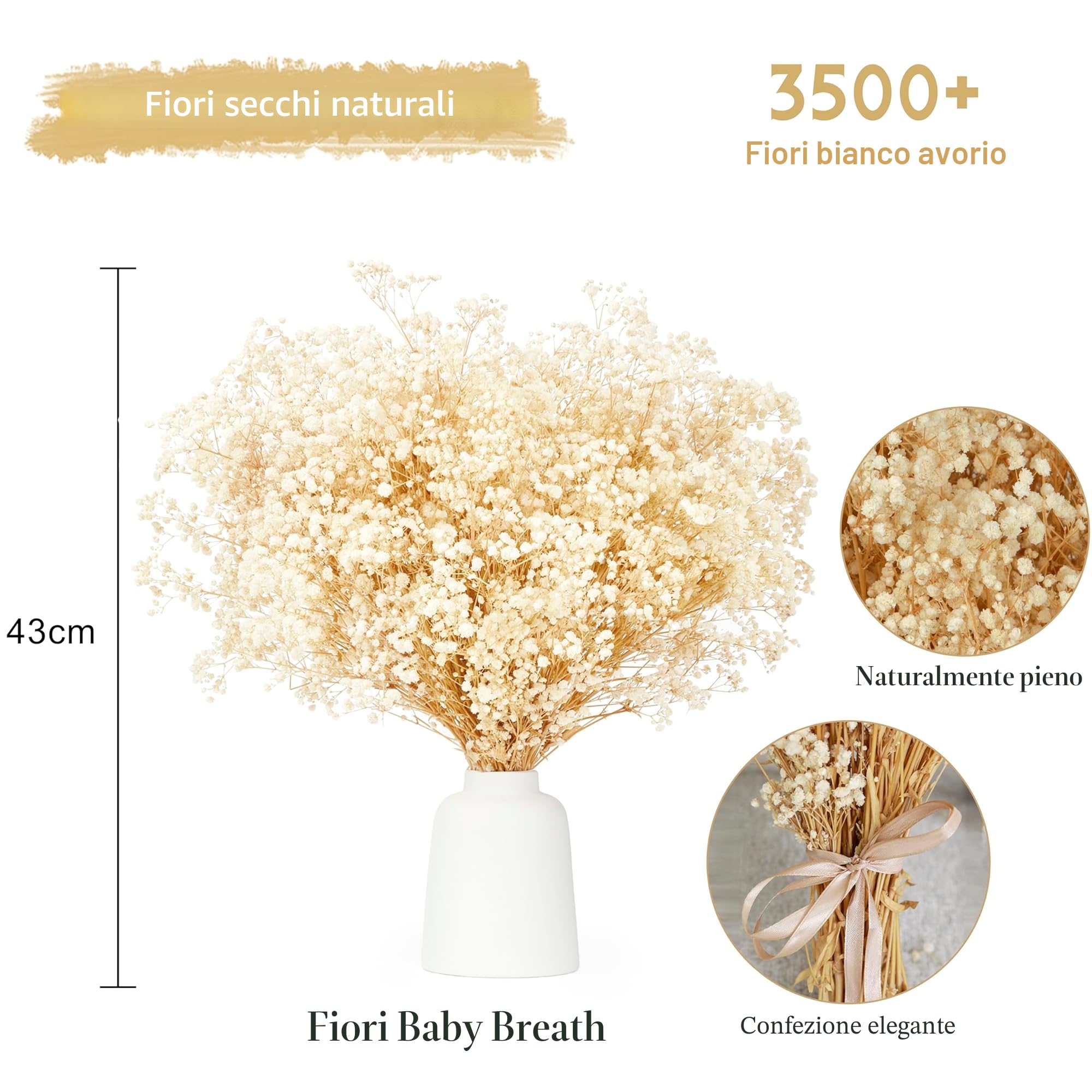 Gypsophila Essiccata Bouquet Fiori Secchi 17 pollici 3500+ fiori bianchi avorio
