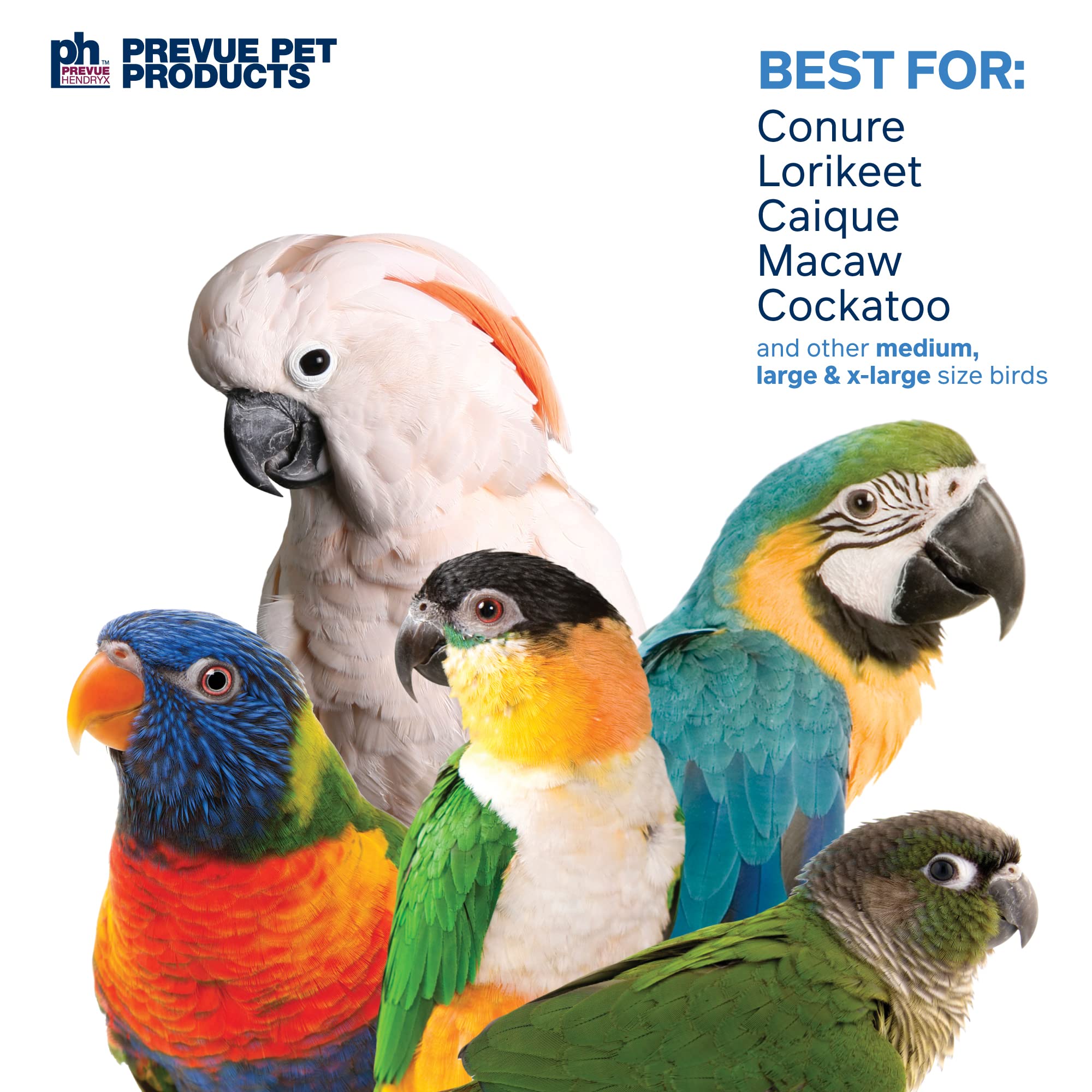 Prevue Mascota Productos 62607 Calypso Creaciones Dagwood pájaro Juguete