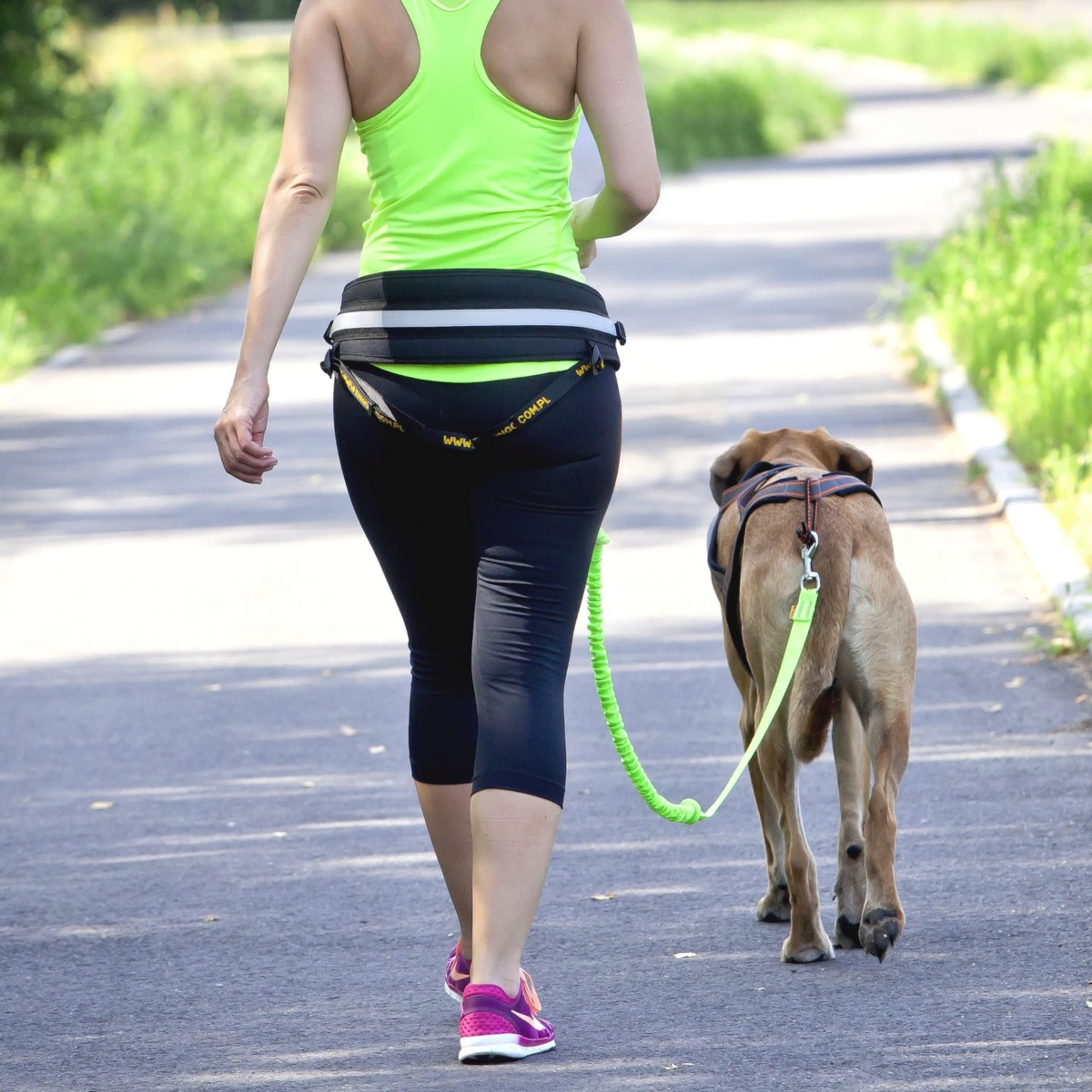 Dingo Z30005 - Guinzaglio e cintura per camminare e correre con il cane, guinzaglio elastico da addestramento, due moschettoni