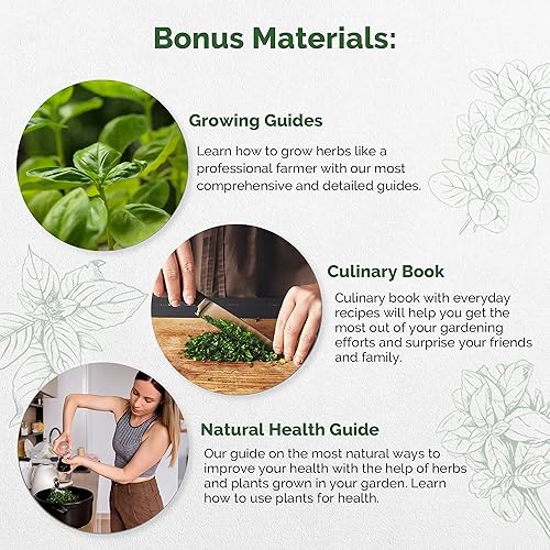 Miniatura 5 de Paquete variado de 12 semillas microverdes de hierbas y berros fáciles de cultivar, paquete variado de semillas de reliquia sin OMG para plantar en