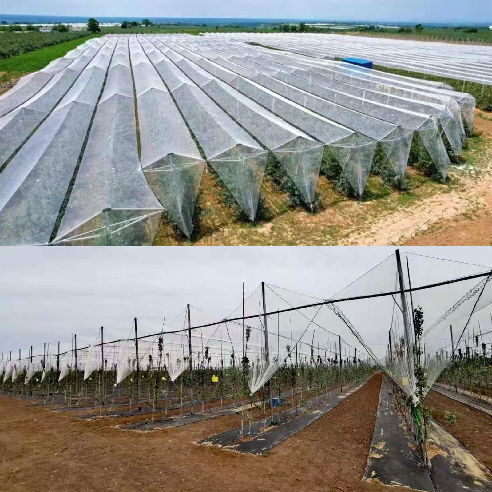 Red Protección De Frutas Y Verduras,Cubierta de Red de protección contra el Granizo de jardín,Malla Anti-PáJaros,Tamaño Cortable,Proteger contra el Granizo los Cultivos y los Frutos