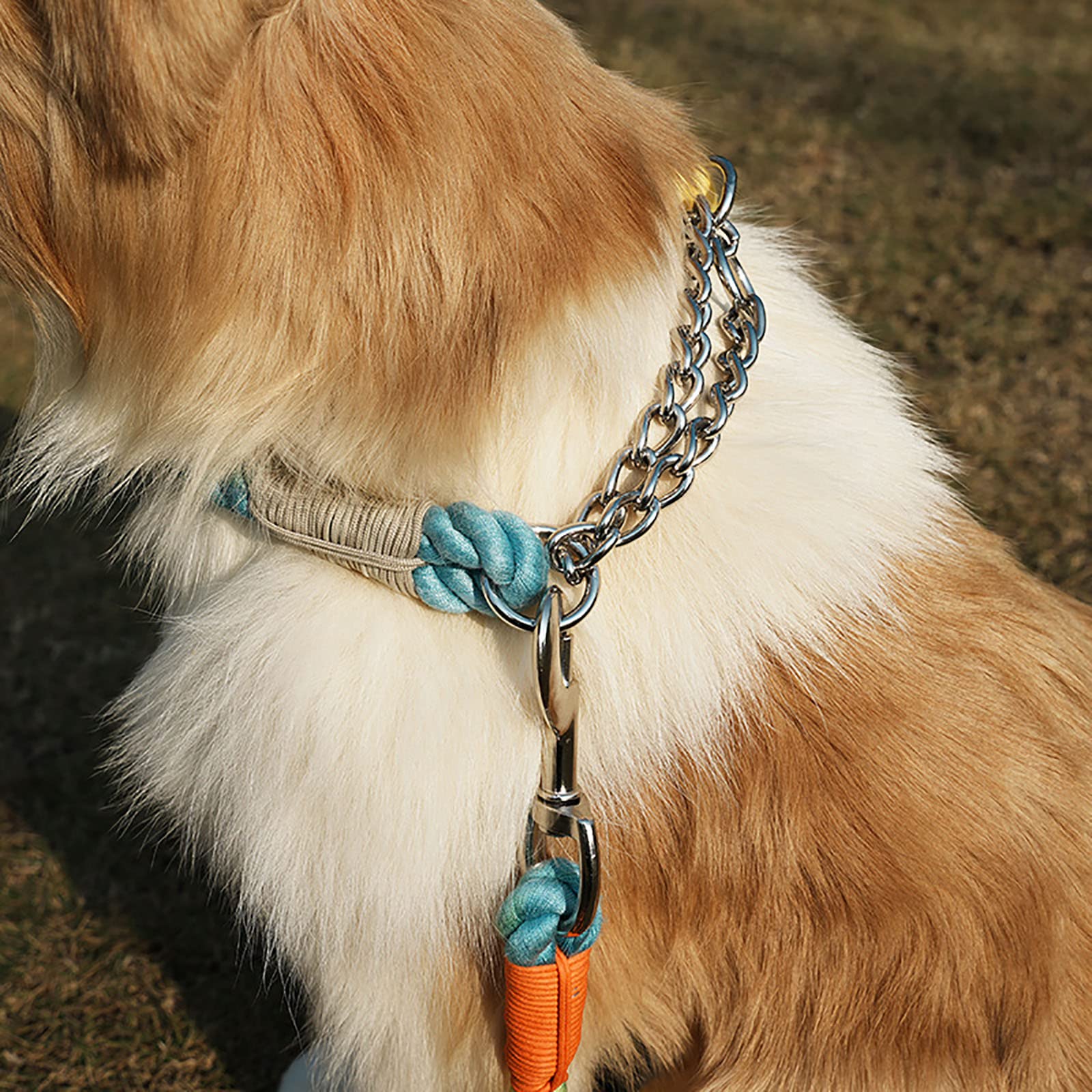 Generic Laisse pour Chien Longue pour Le Contrôle Laisses de Formation pour Grands Chiens Ou Chiens Moyens Corde de Formation Multifonctionnelle