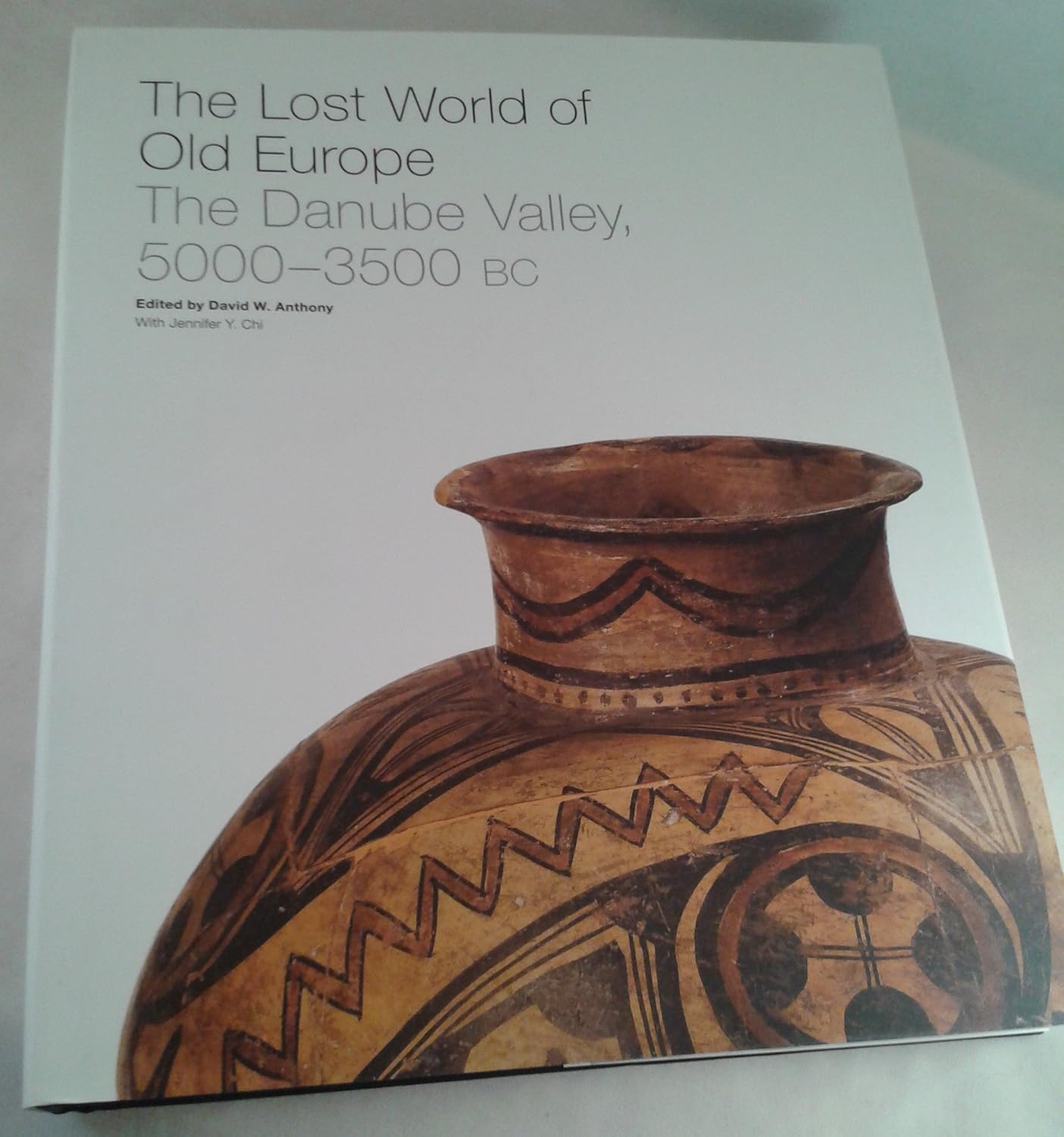 The Lost World of Old Europe: The Danube Valley, 5000-3500 BC      Hardcover – November 29, 2009