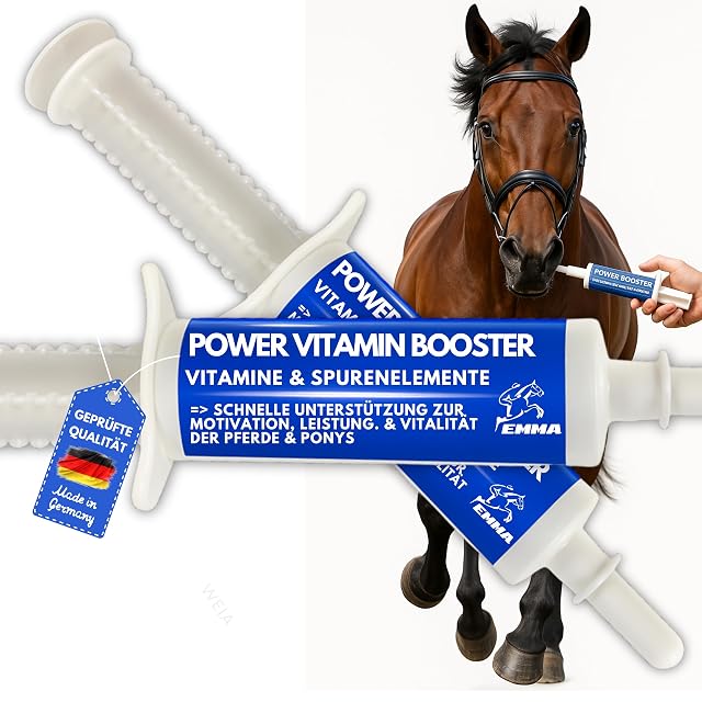 Pasta vitamínica para Caballos I Refuerzo de energía Vitaminas B I Complejo vitamínico B12 Hierro Zinc Lisina…