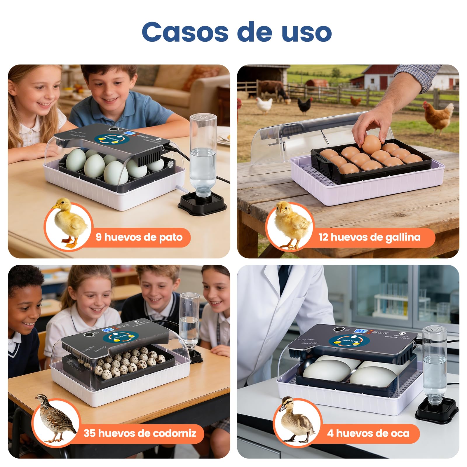 Incubadora de Huevos Automática, Criadora de 12 Huevos con Volteo Automático y Control de Humedad, Incubadoras para Incubar Huevos, Pollos, Patos, Gansos, Codornices, Loros