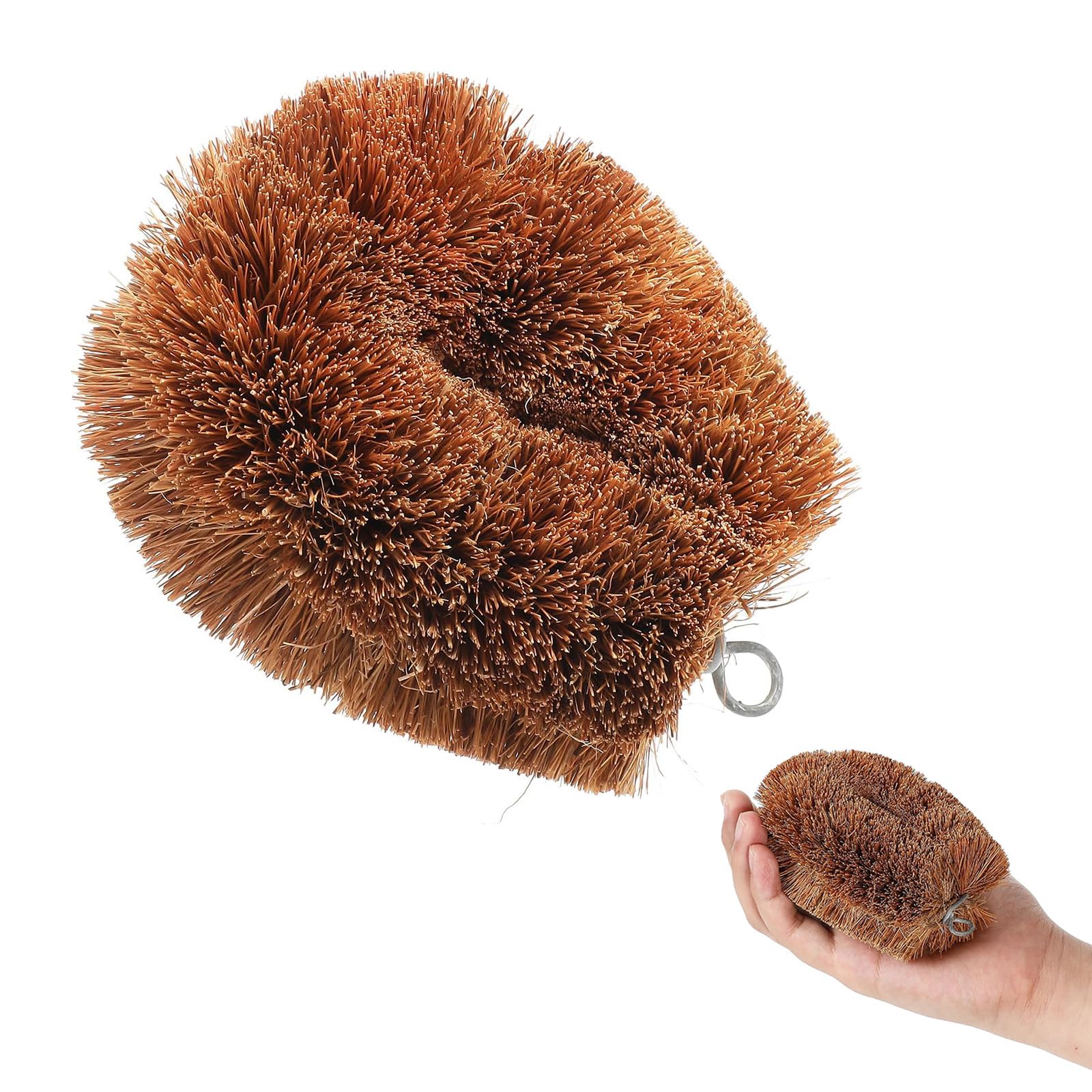 1 Natural Coconut Fiber Frosted Fruit Brush, Wooden Palm Dish Cleaning Brush, Very Suitable for Vegetable and Fruit scrubbing, a Useful Cleaning Tool for Kitchen Cleaning Needs
