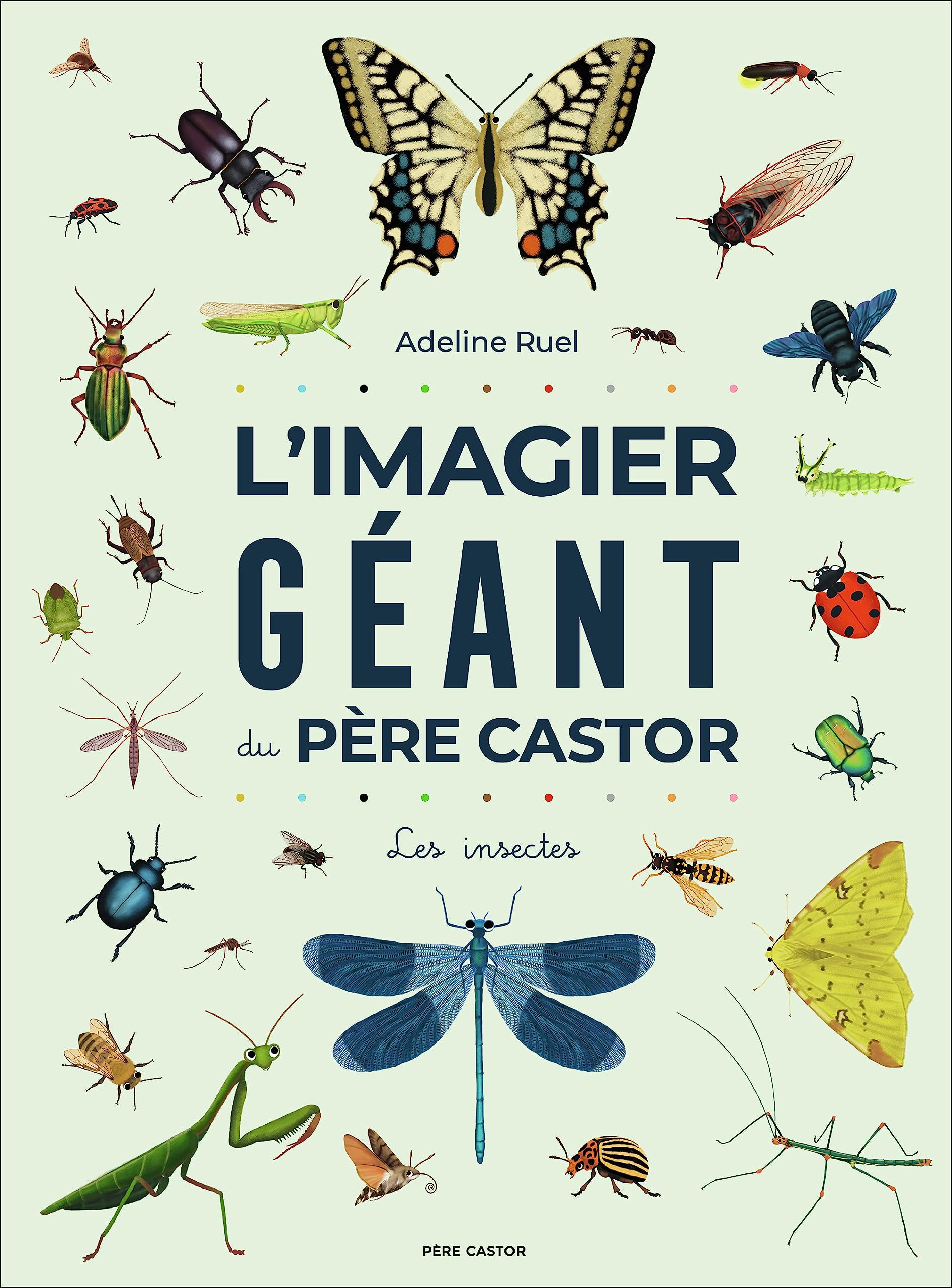 L'Imagier géant du Père Castor - Les insectes