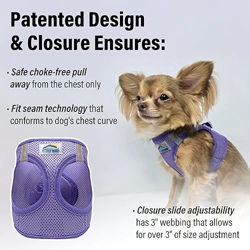 Vista 65 de DOGGIE DESIGN American River - Arnés para perro de la colección ombré, color frambuesa (S (circunferencia de 13 a 16 pulgadas)