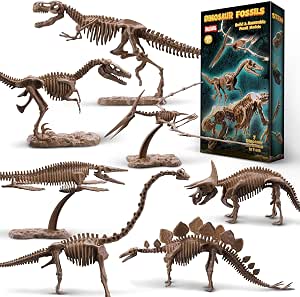 Beetots 7-Pack Dinosaur Fossil Skeleton Building Kit