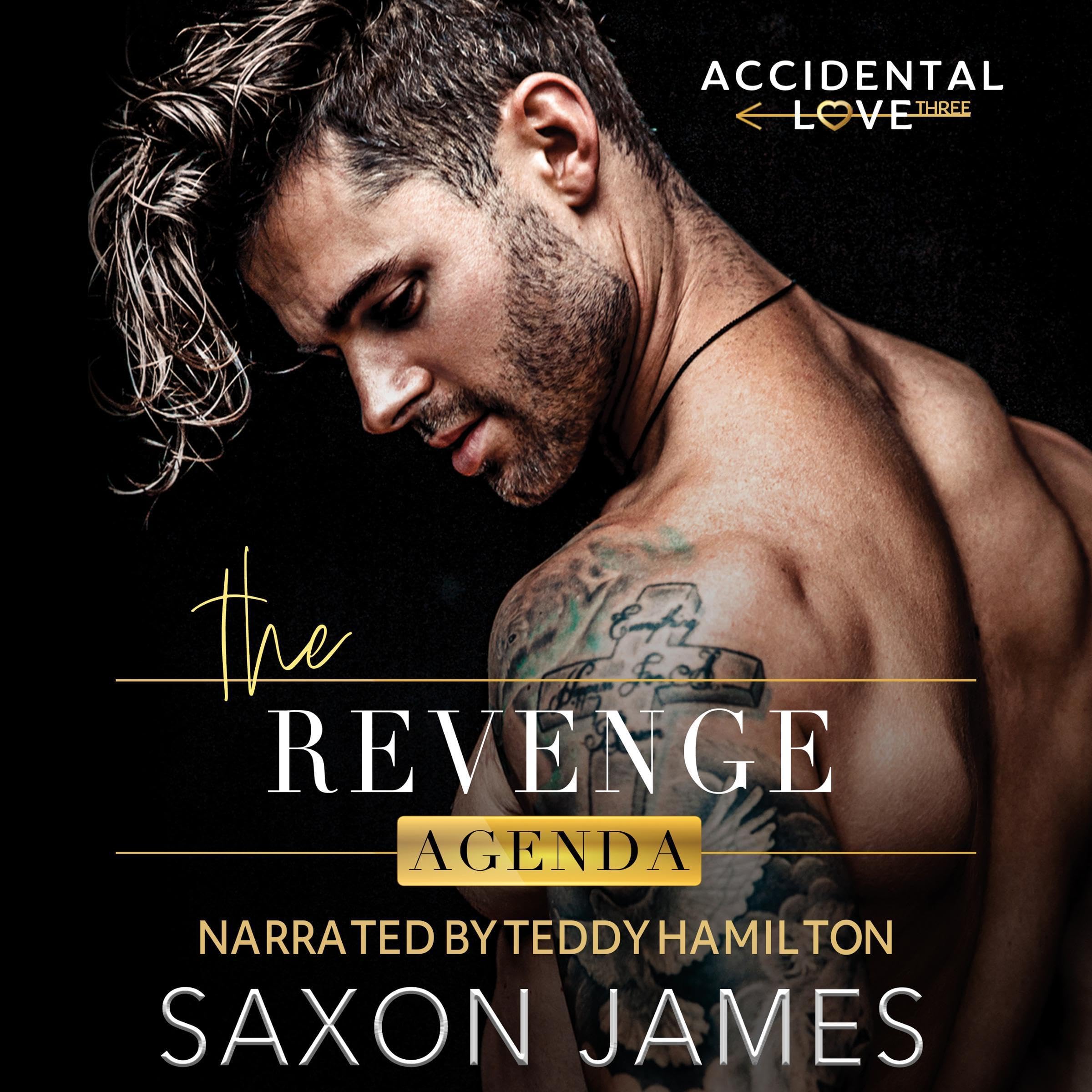 Cover art for The Revenge Agenda