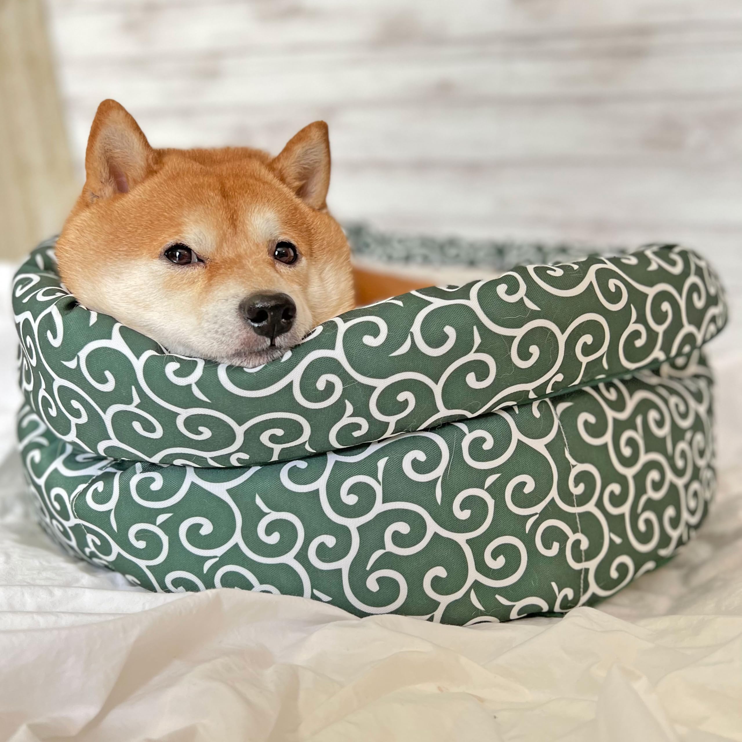 Amazon | mamemochi 唐草ラウンドベッド グリーン ペット用ベッド 犬