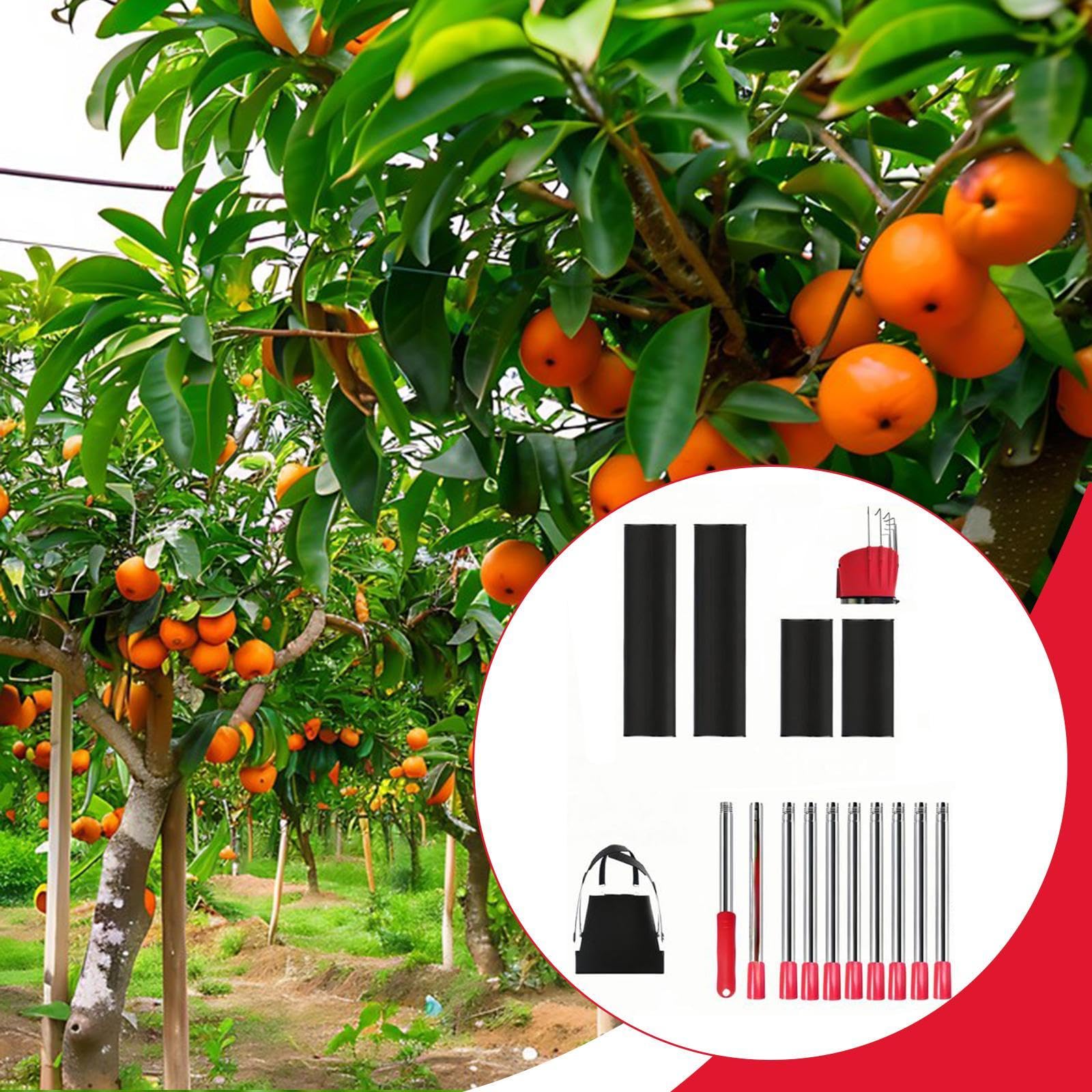 Qianly Palo per La Raccolta della Frutta, Utensile Manuale, Fornisce Strumenti per La Raccolta per L'azienda Agricola,
