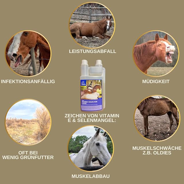 Foto 3 de 8 de Vitamina E Caballo I Selenio Caballo I Vitamina E Selenio Lisina I Vit E Alimento Complementario Potenciador…