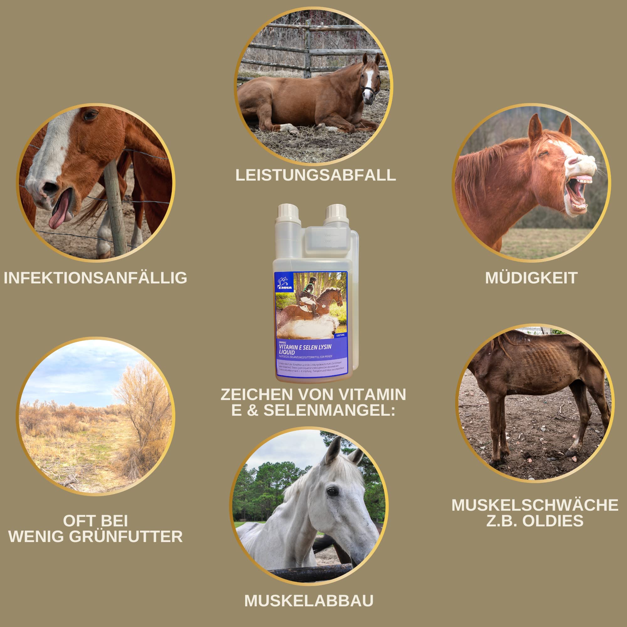 Vitamine E Cheval I Sélénium lysine Cheval I e Liquide complément Alimentaire Energy Booster Musculature I Renforcement Musculaire I Aliment reconstituant pour Chevaux Senior minéraux Chevaux 1L