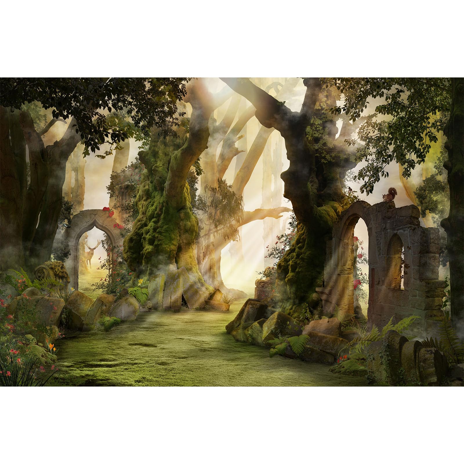 Fantasy Forest Aquarium Background Archway and Ancient Trees Atmospheric Landscape Fish Tank Background Deep Woods Misty and Foggy Mood Reptile Habitat Background Decors Poster Vinyl 72x24in
